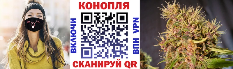 Конопля план  где купить   Ува 